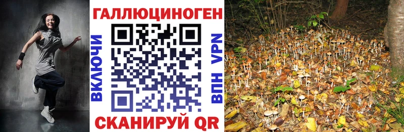 Псилоцибиновые грибы Psilocybe  Узловая 